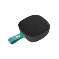 مكبر الصوت اللاسلكي MyCandy WS100