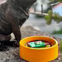 عطر دولتشي آند غابانا فيفيه 100 مل خالٍ من الكحول...