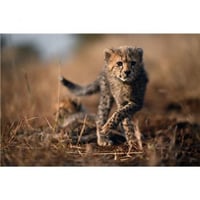 نيكون Z 9 كاميرا رقمية بدون مرآة هيكل Nikon Z 9 Mi...