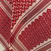 شماغ دفء الخاص سيجنشر