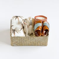 هدية ولد البلد