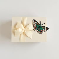 استكر فراشة