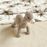 هدية ولد البلد