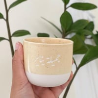 كوب جميلة يناير