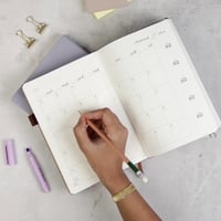 منظم اسبوعي وردي 2026 - صغير