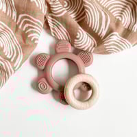 عضاضة وردية