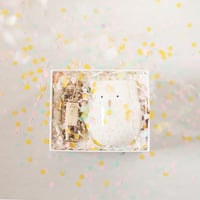 قصاصات ميلاد