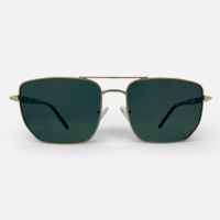 نظارة شمسية ماركة ILLAVENTE موديل LV24808 C6