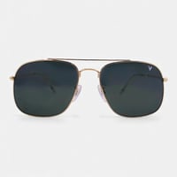 نظارة شمسية ماركة ILLAVENTE موديل LV3595 C2