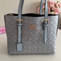 كوتش مولي سماوي