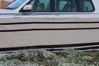 الرواق المغناطيسي