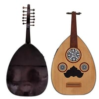 عود كهربائي احترافي والكريزر كوري