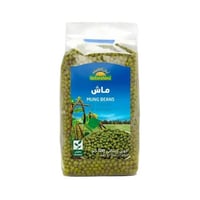 ماش عضوي ارض الطبيعة 500 جم