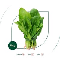 سبانخ طازجة عضوية مزرعة السلوى العضوية