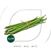 قرون المورينجا الطازجة عضوي مزرعة بيت الاستنبات ال...