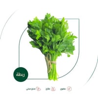 بقدونس عضوي ربطة مزرعة الشهوان