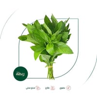 نعناع طازج عضوي ربطة ال طالب