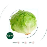 خس امريكي عضوي مزرعة الشهوان