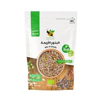 البذور الاربعة عضوي منتج الطبيعة 250جم