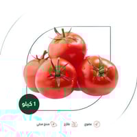 طماطم عضوي مزرعة السلوى العضوية