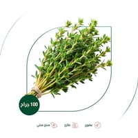 زعتر بري طازج عضوي مزرعة طويق العضوية 100 جم