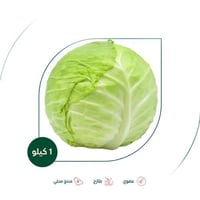 ملفوف اخضر عضوي مزرعة الشهوان