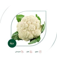 زهرة عضوية مزرعة الشهوان