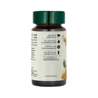 زنجبيل مطحون عضوى ارض الطبيعة 27 جم