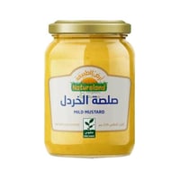 صلصة الخردل العضوية ارض الطبيعة 210 جم