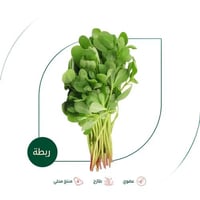 رجلة طازجة عضوية مزرعة بيت الاستنبات العضوية