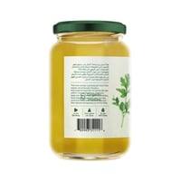 عسل كزبرة ارض الطبيعة