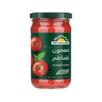 معجون طماطم عضوي ارض الطبيعة 200 جم