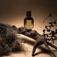 عطر ان اكستريمس 50 مل In Extremis Astrophil & Stel...