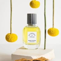 عطر موناج داي دريم اكستريت دي بارفان 50 مل