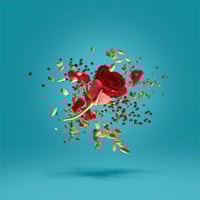 عطر جروف اكسكاب من زيرجوف بارفيوم 50 مل