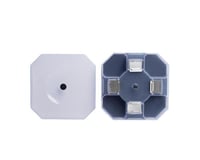 صائد الصراصير