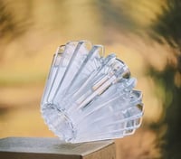 مكبس فلتر للقهوة المختصة