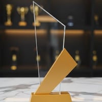 درع من الكرستال مع الطباعة17