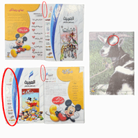 مجلة ميكي – مشاريع طبيعية | العدد 527