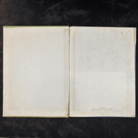 مجلة عالم ديزني - بينوكيو