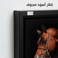 HR97 لوحة فنية معاصرة تصور رأس حصان عربي أصيل بلون...