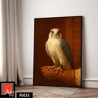 FLC11 لوحة صقر، عينان حادتان، تراث عربي.