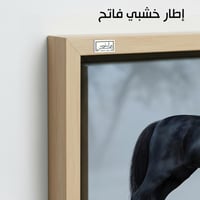 HR251 لوحة فنية معاصرة تصور حصاناً أسوداً يقف وسط...