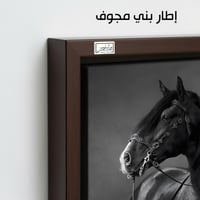 HR263 لوحة فنية أنيقة بالأبيض والأسود تصور حصاناً...