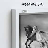 HR252 لوحة فنية معاصرة تصور مجموعة من الخيول وهي ت...