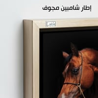 HR97 لوحة فنية معاصرة تصور رأس حصان عربي أصيل بلون...