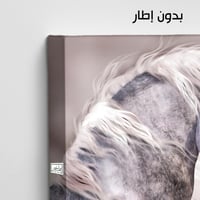 HR57 لوحة رأس حصان أبيض بخلفية ترابية هادئة - فن م...