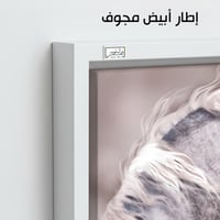 HR57 لوحة رأس حصان أبيض بخلفية ترابية هادئة - فن م...