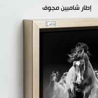 HR58حصان بري يركض وسط الضباب - لوحة فنية بالأبيض و...