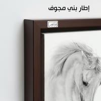 HR106 لوحة فنية معاصرة تصور حصانًا أبيضًا جميلاً ب...